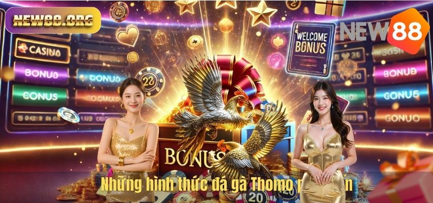 Những hình thức đá gà Thomo phổ biến